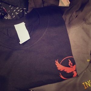 Large instinct, medium Valore, Pokémon